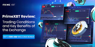 A Comprehensive Guide to PrimeXBT Withdrawals A Comprehensive Guide to PrimeXBT Withdrawals