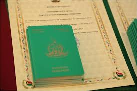 Understanding the Costs of Vanuatu Citizenship 877645299