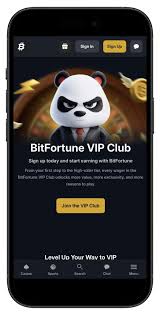 Exploring Bitfortune Live Casino and Crypto Wallet Integration