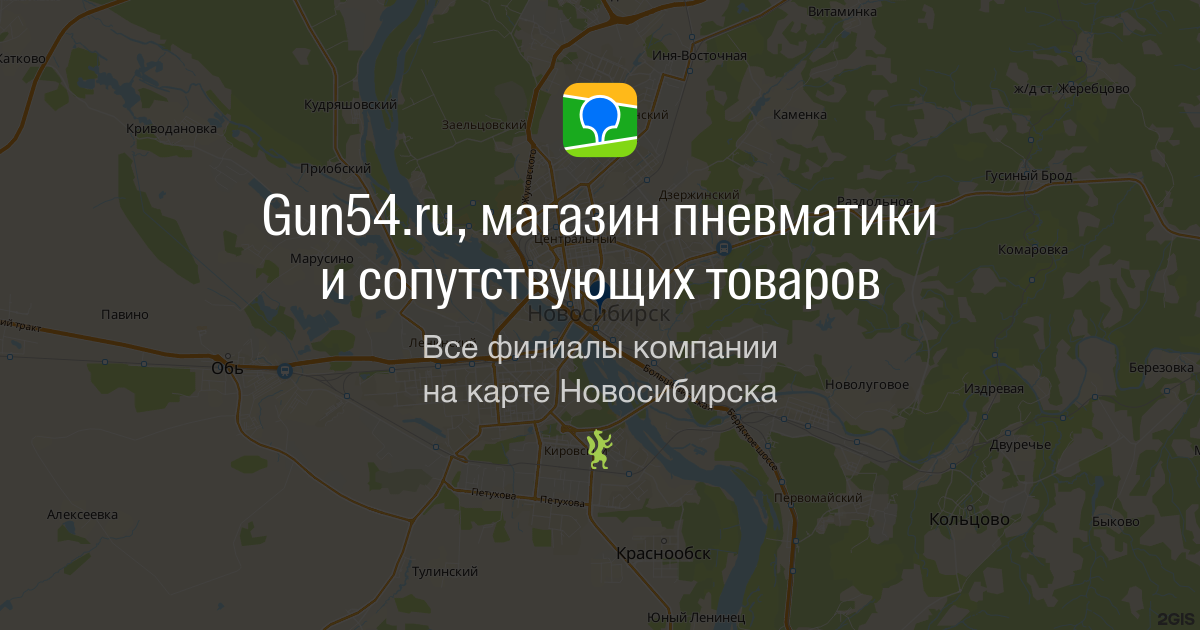 Купить пневматическую винтовку руководство и советы