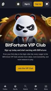 Unlocking Wealth Exploring Bitfortune VIP Rewards and Loyalty