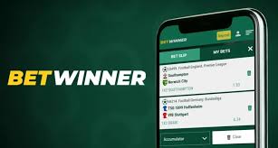 Exploring BetWinner Sportsbook A Comprehensive Guide -840108823