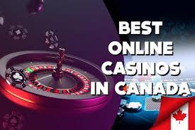 Top Live Casinos Experience the Thrill of Real-Time Gaming -265089730 Top Live Casinos Experience the Thrill of Real-Time Gaming -265089730